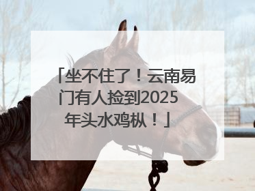坐不住了！云南易门有人捡到2025年头水鸡枞！