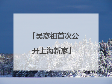 吴彦祖首次公开上海新家