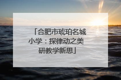 合肥市琥珀名城小学：探律动之美 研教学新思