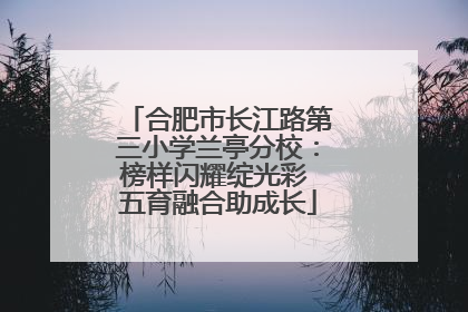 合肥市长江路第三小学兰亭分校：榜样闪耀绽光彩 五育融合助成长