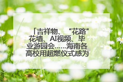 吉祥物、“花路”花墙、AI视频、毕业游园会……海南各高校用超燃仪式感为学子青春“存档”