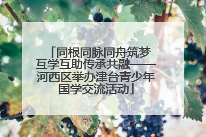 同根同脉同舟筑梦 互学互助传承共融——河西区举办津台青少年国学交流活动
