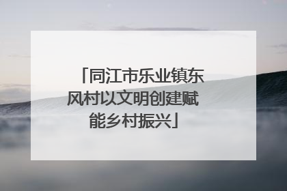 同江市乐业镇东风村以文明创建赋能乡村振兴