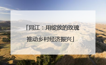 同江：用绽放的玫瑰 推动乡村经济振兴