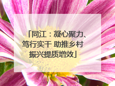 同江：凝心聚力、笃行实干 助推乡村振兴提质增效