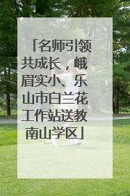 名师引领共成长，峨眉实小、乐山市白兰花工作站送教南山学区