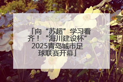 向“苏超”学习看齐！“海川建设杯”2025青岛城市足球联赛开幕