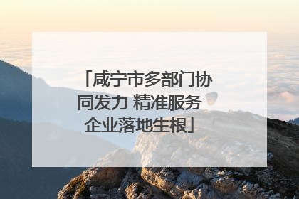 咸宁市多部门协同发力 精准服务企业落地生根