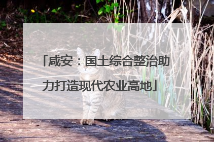 咸安：国土综合整治助力打造现代农业高地
