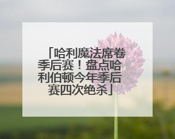 哈利魔法席卷季后赛！盘点哈利伯顿今年季后赛四次绝杀