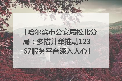 哈尔滨市公安局松北分局：多措并举推动12367服务平台深入人心