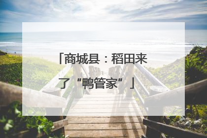 商城县：稻田来了“鸭管家”