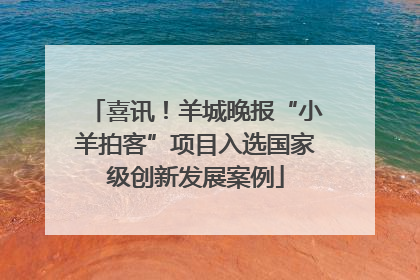 喜讯！羊城晚报“小羊拍客”项目入选国家级创新发展案例