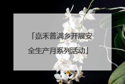嘉禾普满乡开展安全生产月系列活动