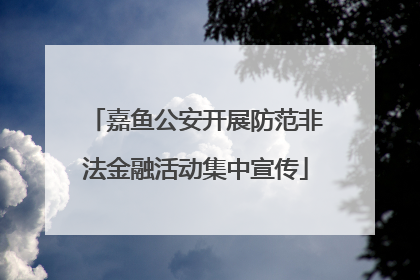 嘉鱼公安开展防范非法金融活动集中宣传