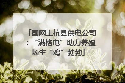 国网上杭县供电公司：“满格电”助力养殖场生“鸡”勃勃