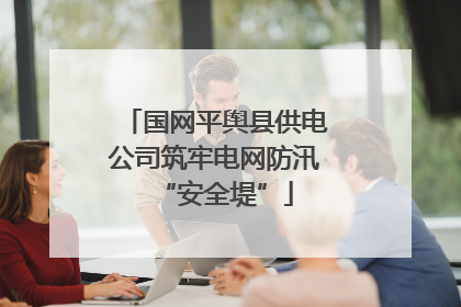 国网平舆县供电公司筑牢电网防汛“安全堤”
