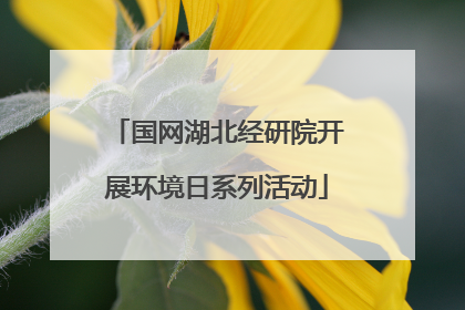 国网湖北经研院开展环境日系列活动