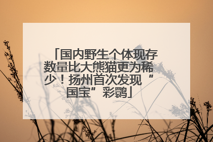 国内野生个体现存数量比大熊猫更为稀少！扬州首次发现“国宝”彩鹮