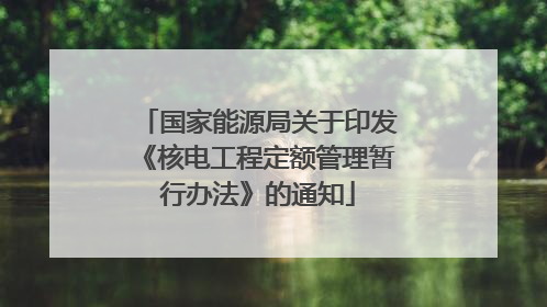 国家能源局关于印发《核电工程定额管理暂行办法》的通知