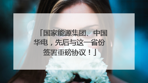 国家能源集团、中国华电，先后与这一省份签署重磅协议！