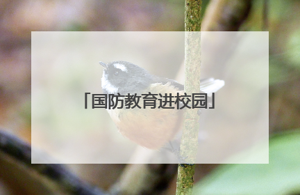国防教育进校园