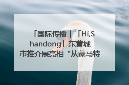 国际传播｜「Hi,Shandong」东营城市推介展亮相“从蒙马特到加里波第”文化节