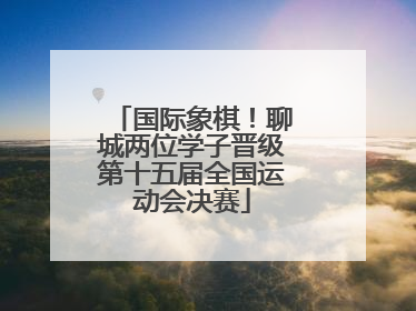 国际象棋！聊城两位学子晋级第十五届全国运动会决赛