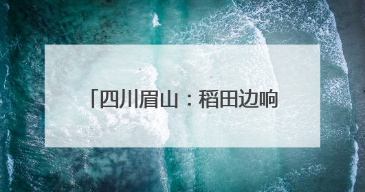 四川眉山：稻田边响起法槌声 巡回法庭现场化解耕地纠纷