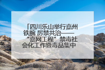 四川乐山举行嘉州铁腕 厉禁共治——“嘉网工程”禁毒社会化工作暨毒品集中销毁启动仪式