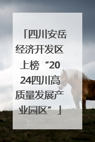 四川安岳经济开发区上榜“2024四川高质量发展产业园区”