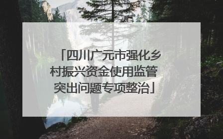 四川广元市强化乡村振兴资金使用监管突出问题专项整治