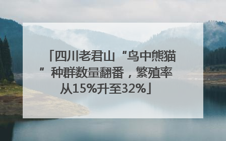 四川老君山“鸟中熊猫”种群数量翻番，繁殖率从15%升至32%