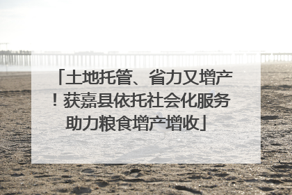 土地托管、省力又增产！获嘉县依托社会化服务助力粮食增产增收