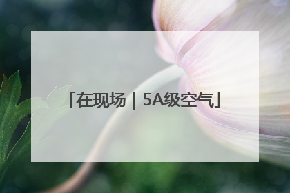 在现场｜5A级空气