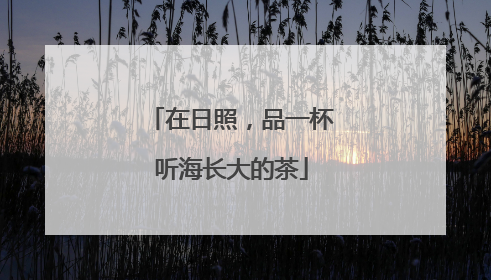 在日照，品一杯听海长大的茶