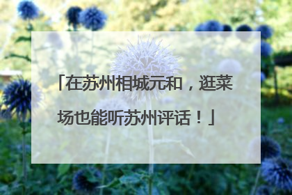 在苏州相城元和，逛菜场也能听苏州评话！