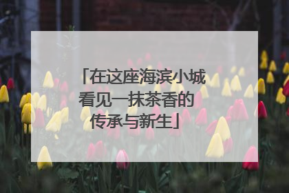 在这座海滨小城 看见一抹茶香的传承与新生