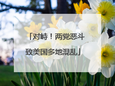 对峙！两党恶斗致美国多地混乱