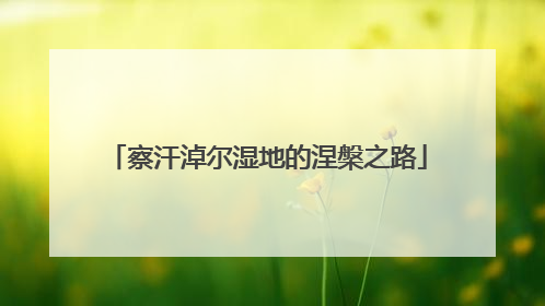 察汗淖尔湿地的涅槃之路