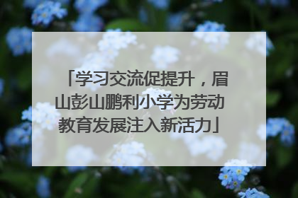 学习交流促提升，眉山彭山鹏利小学为劳动教育发展注入新活力