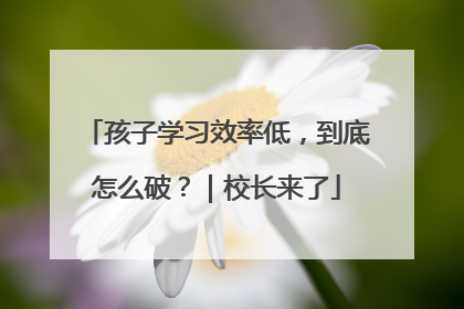 孩子学习效率低，到底怎么破？｜校长来了