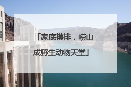 家底摸排，崂山成野生动物天堂