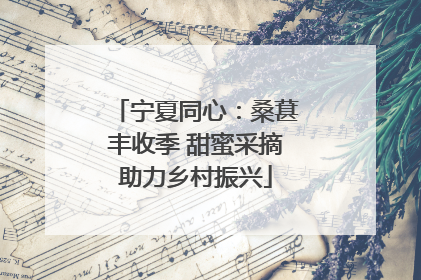 宁夏同心：桑葚丰收季 甜蜜采摘助力乡村振兴