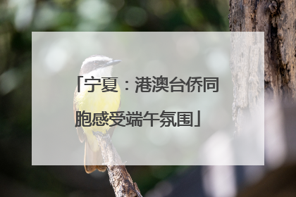 宁夏：港澳台侨同胞感受端午氛围