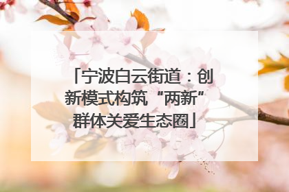 宁波白云街道：创新模式构筑“两新”群体关爱生态圈