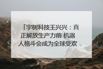 宇树科技王兴兴：真正解放生产力前 机器人格斗会成为全球受欢迎的赛事｜科技观察