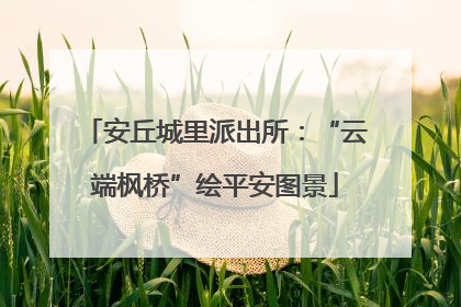 安丘城里派出所：“云端枫桥”绘平安图景