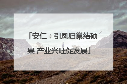 安仁：引凤归巢结硕果 产业兴旺促发展