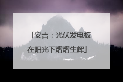安吉：光伏发电板在阳光下熠熠生辉